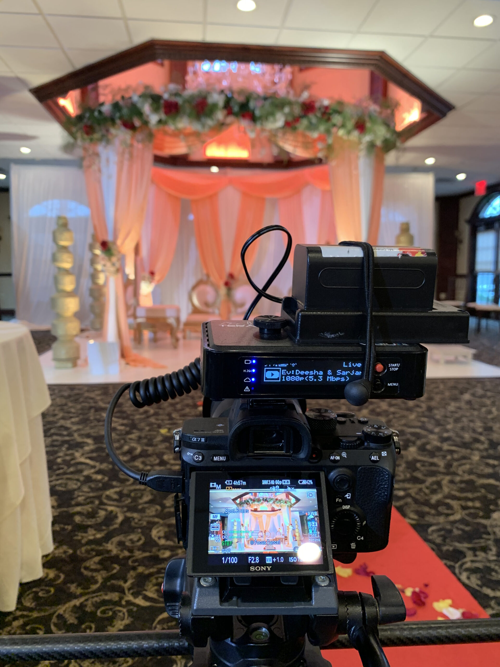 Indian wedding live streaming